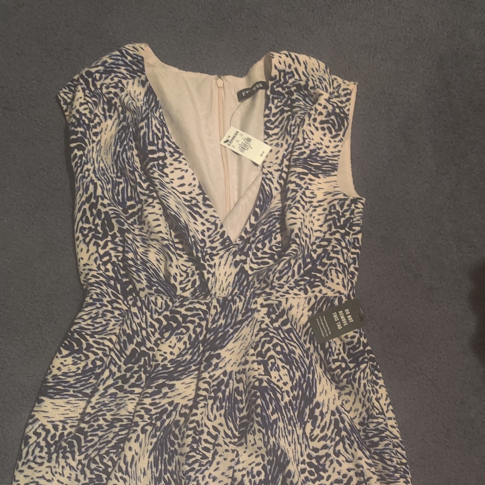 Express Dress